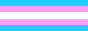 trans flag